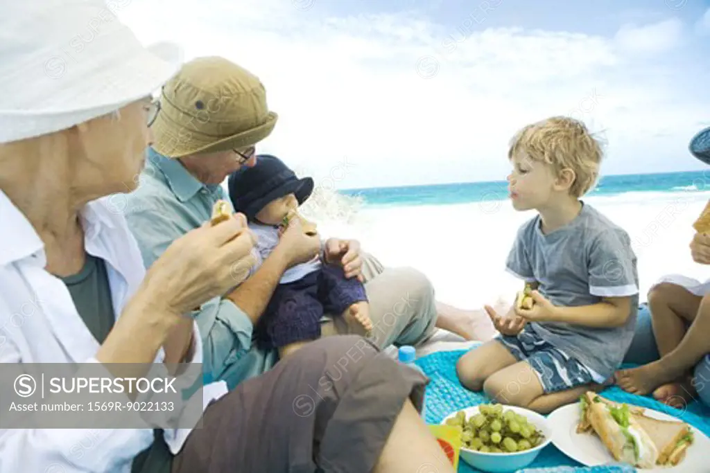 Grandparents and grandchildren having picnic on beach