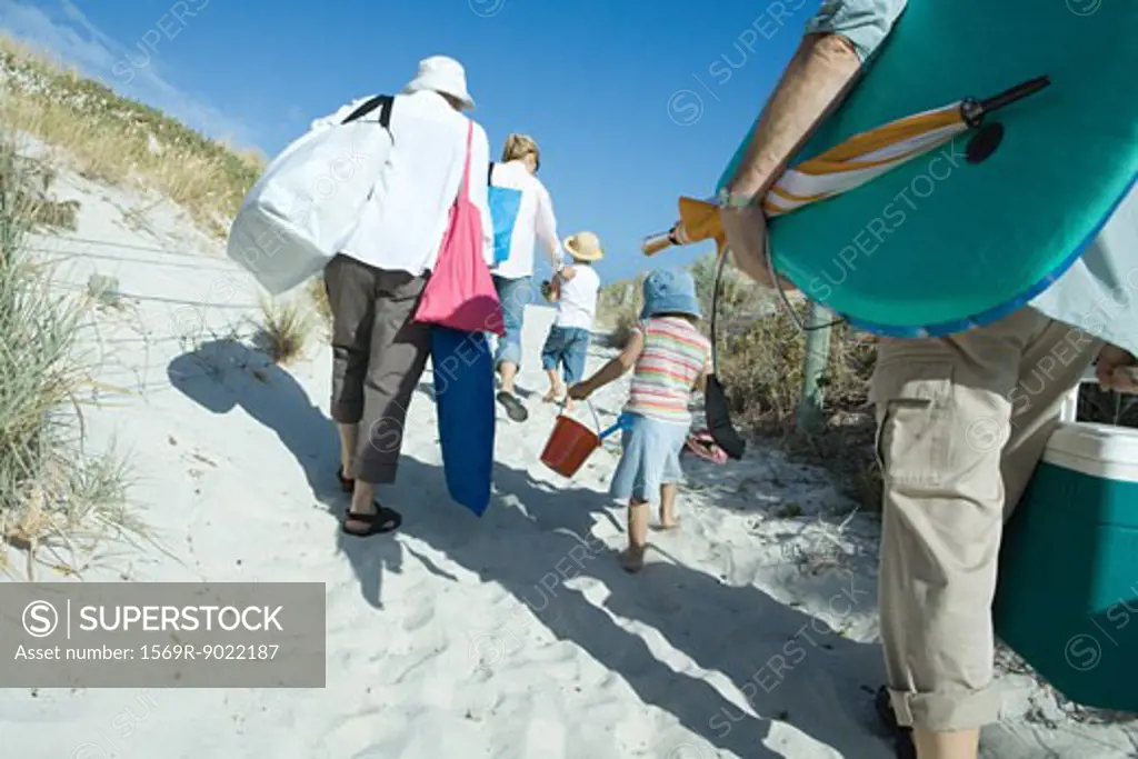 Family walking through dunes, rear view