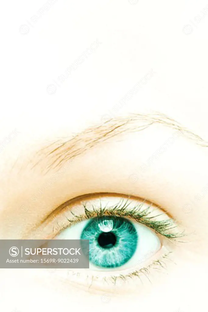 Woman's eye, extreme close-up