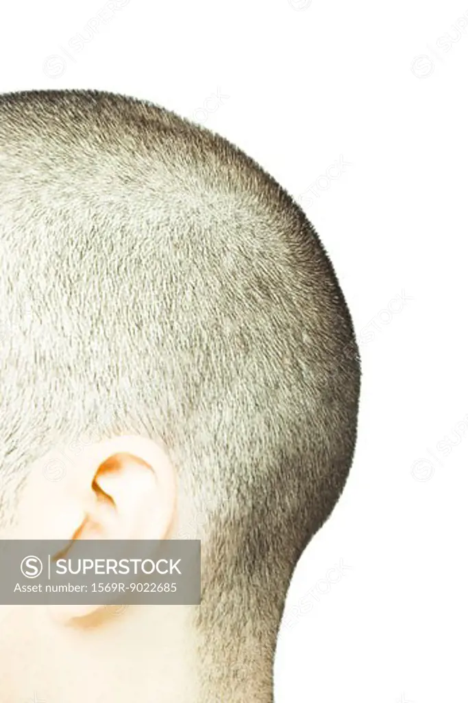 Back of man's shaved head, side view
