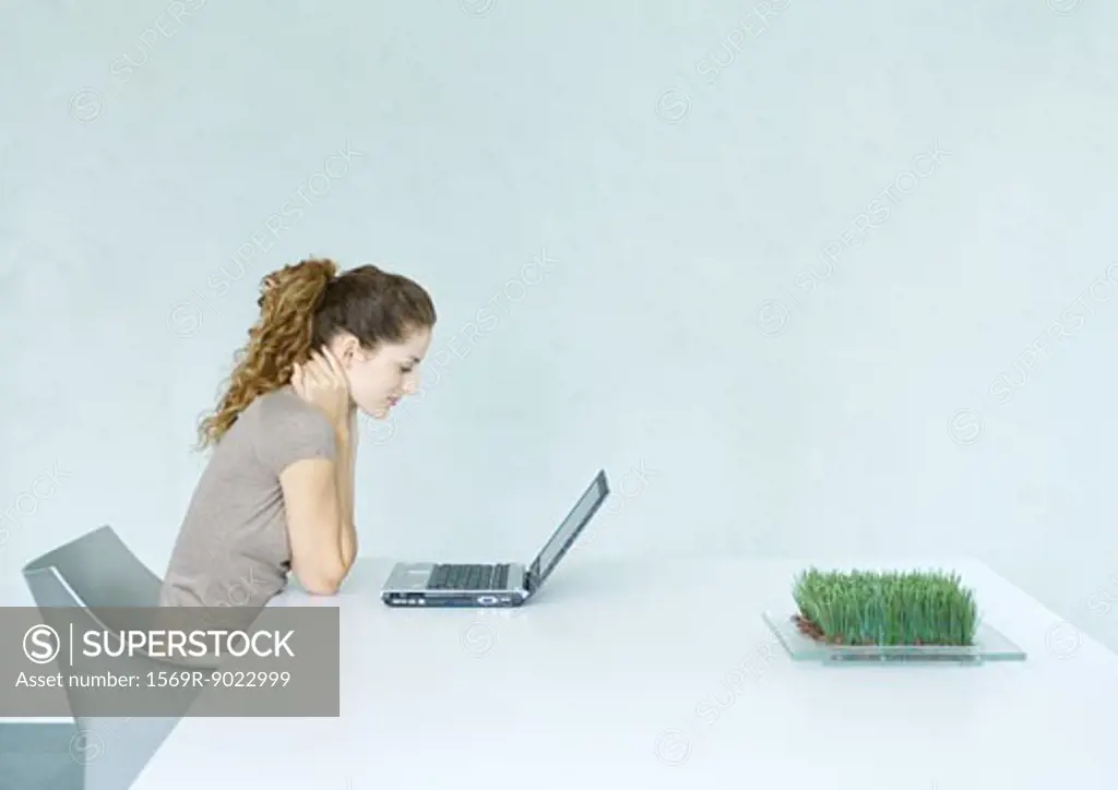 Woman using laptop, tray of wheatgrass on table