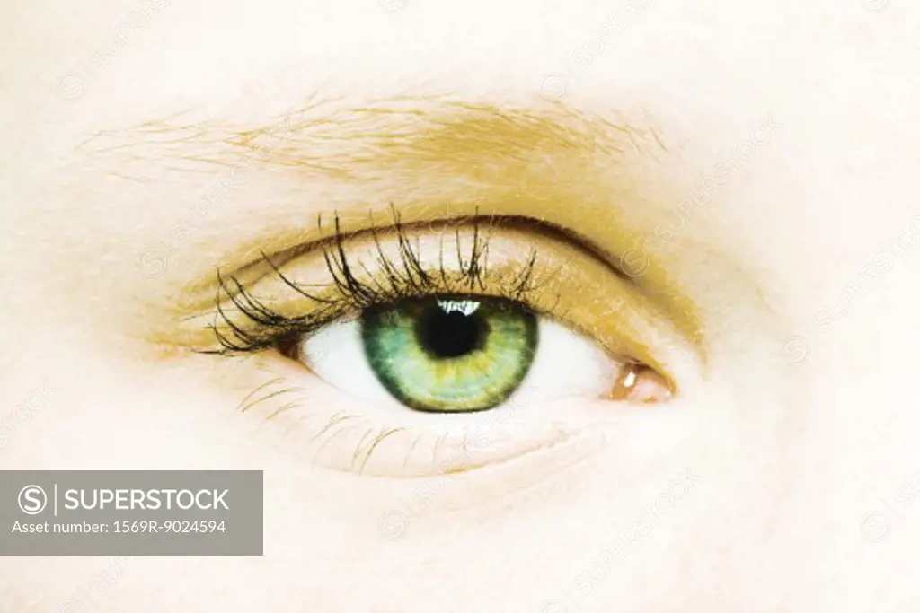 Female eye, extreme close-up