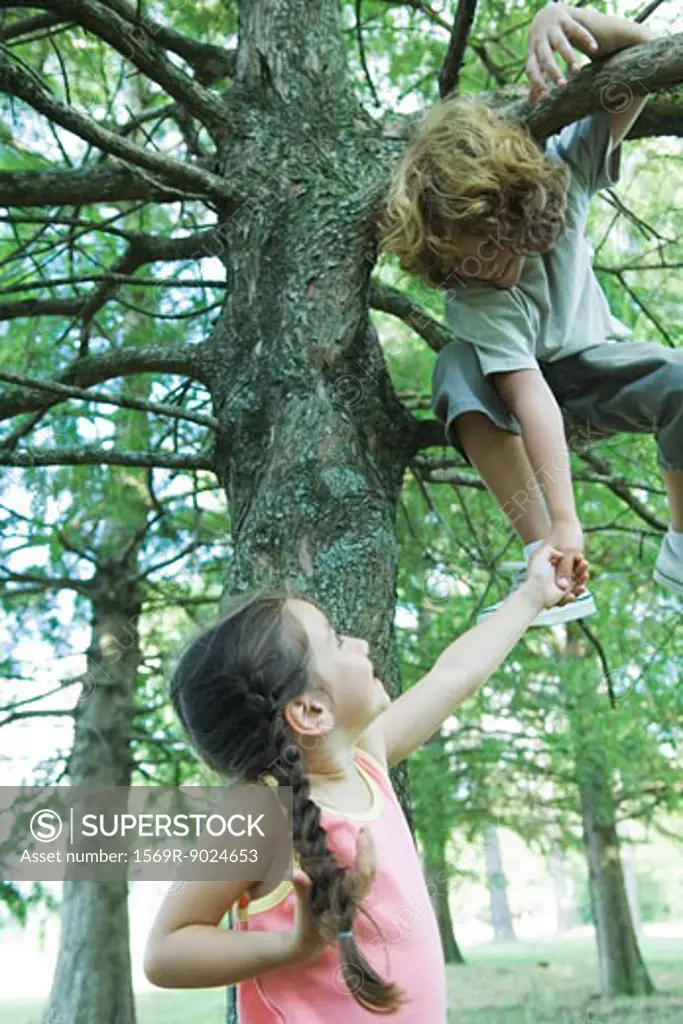 Boy in tree holding hands with sister standing below