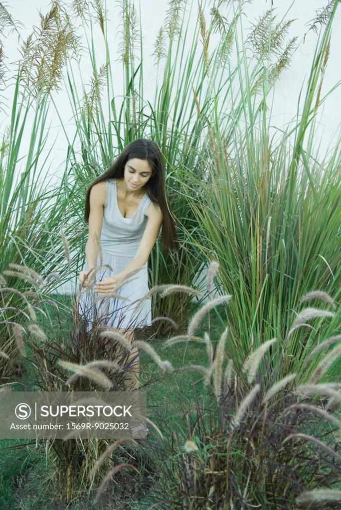 Woman standing in ornamental garden, bending over, looking at foliage