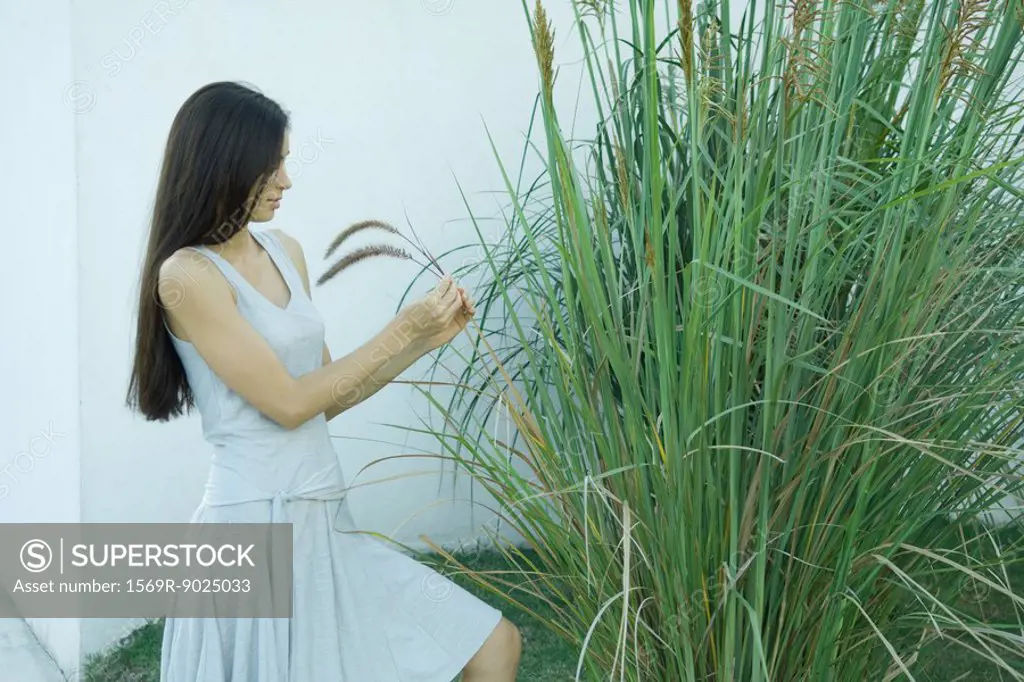 Woman looking at ornamental plant