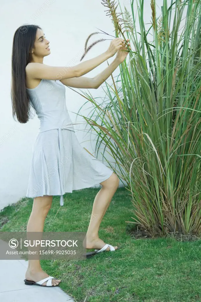 Woman looking at ornamental plant, holding stems, full length