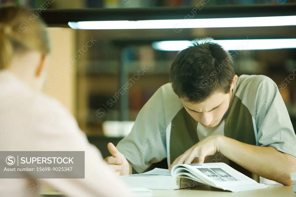 Students studying in university library