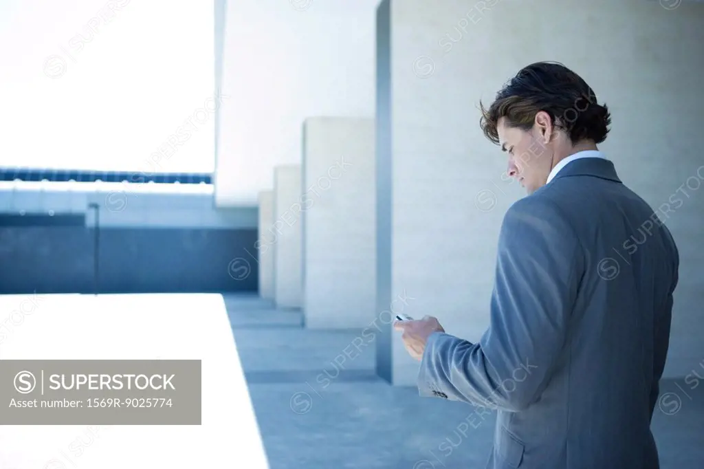 Young businessman looking at cell phone, rear view