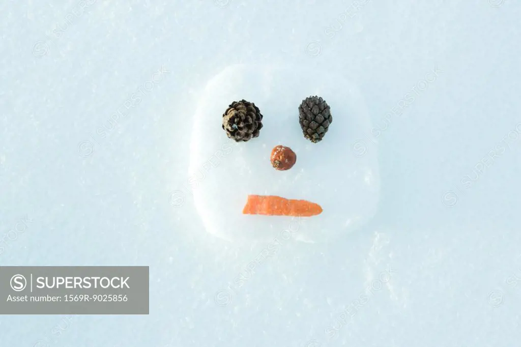 Snowman on the ground, head, view from directly above