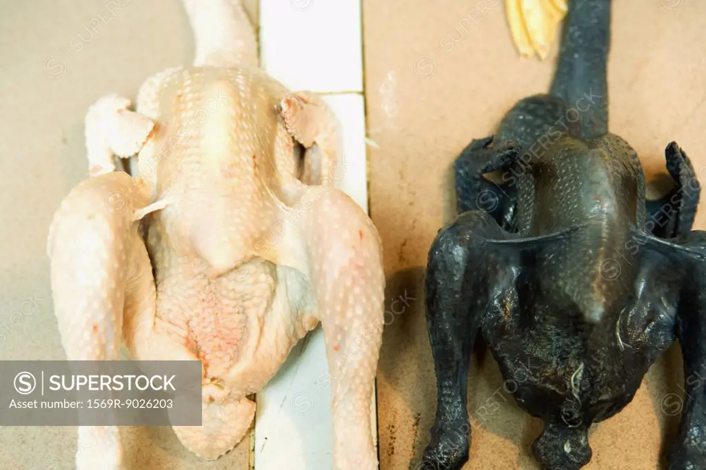 Raw skinned chickens, one white, one black
