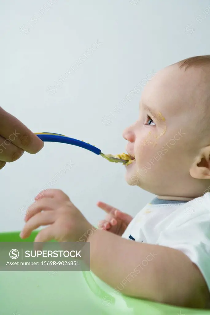 Baby being fed with spoon, side view
