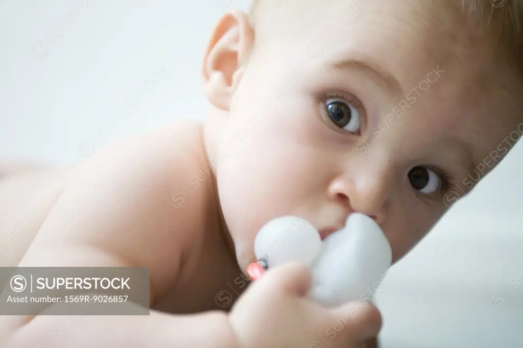 Baby looking at camera, wide eyes, holding rubber duck
