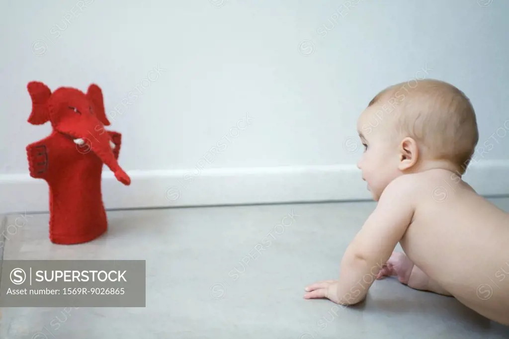 Naked baby crawling on floor, looking at puppet, waist up