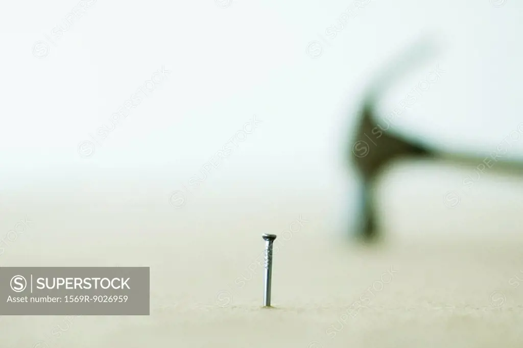 Nail, standing, hammer in background
