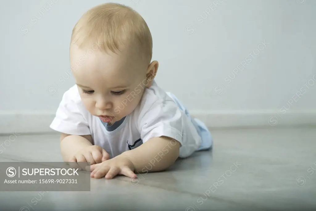Baby lying on floor, looking at seam in flooring