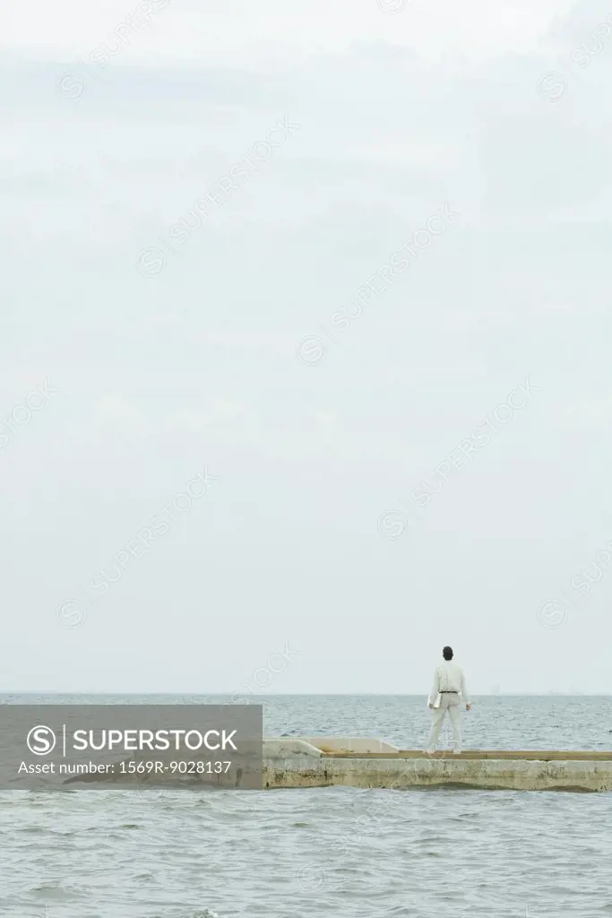 Man standing on pier, looking up, carrying laptop, rear view
