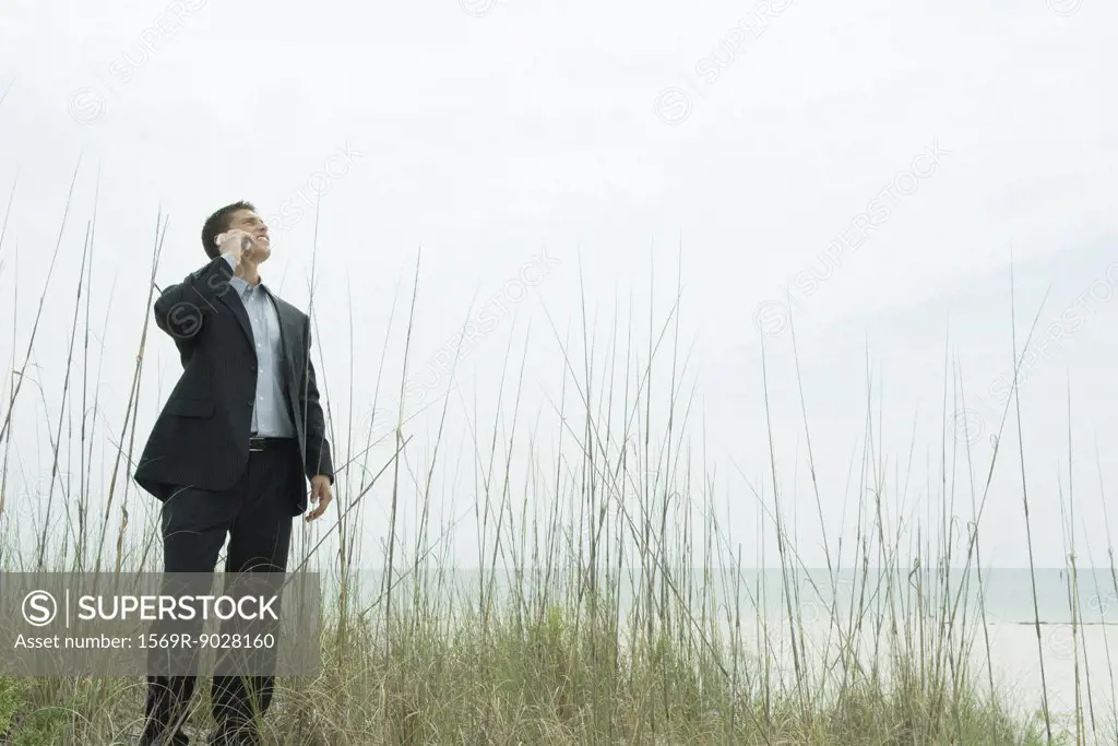 Businessman standing among tall reeds, using cell phone, looking up