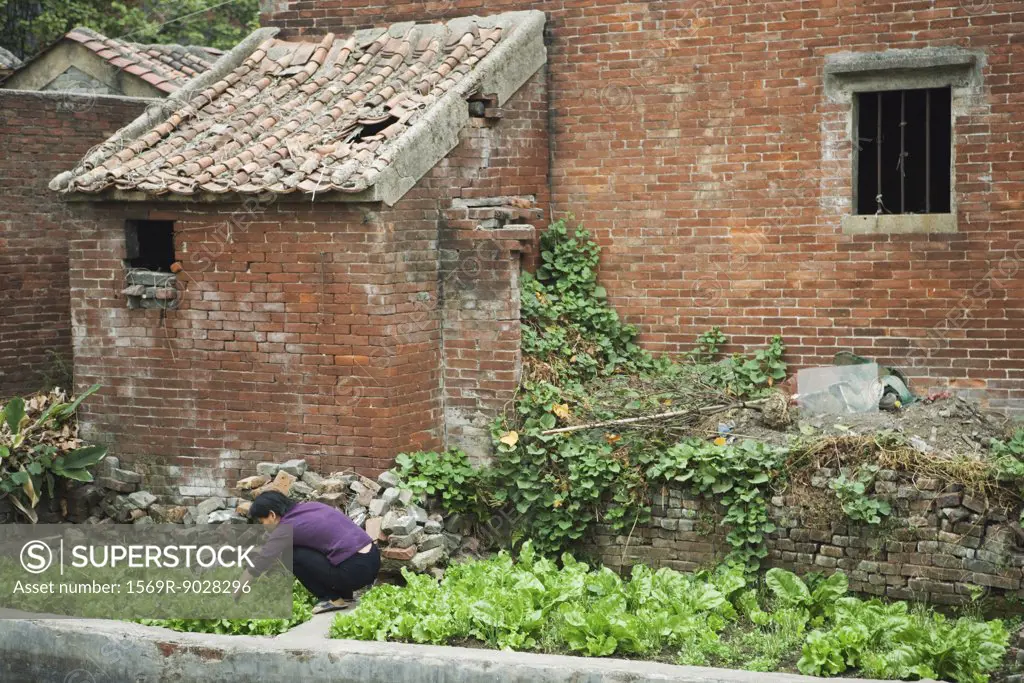 China, woman crouching in vegetable garden next to brick house