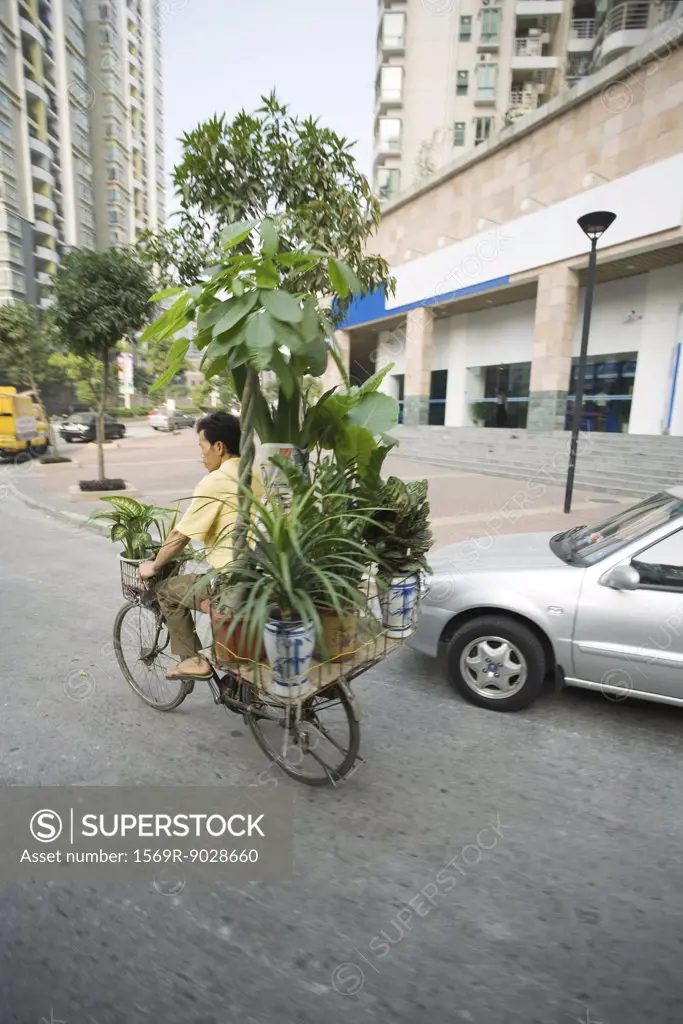 China, Guangdong Province, Guangzhou, man transporting houseplants on bicycle