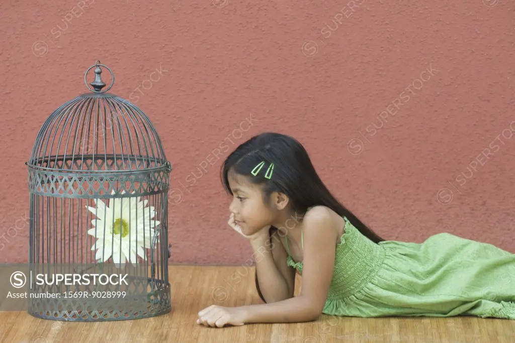 Girl lying on floor, looking at flower in birdcage, side view