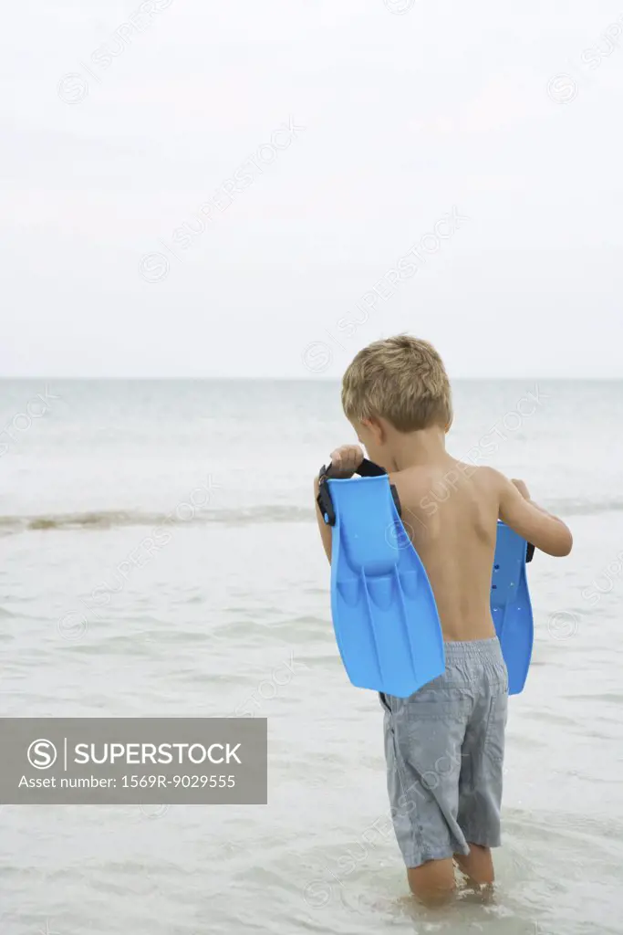 Young boy standing knee deep in water, carrying flippers, rear view