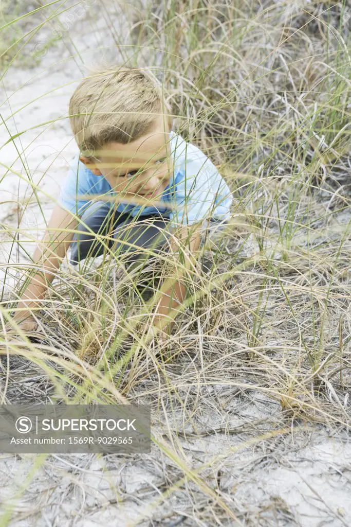 Young boy crouching in tall grass, looking away