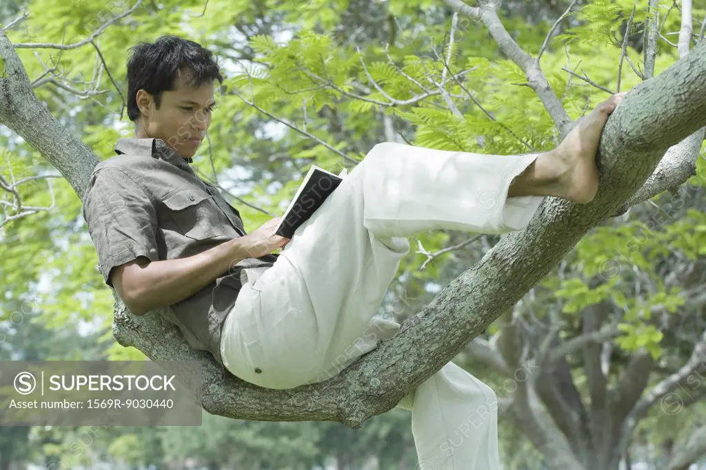 Man sitting in tree, reading book