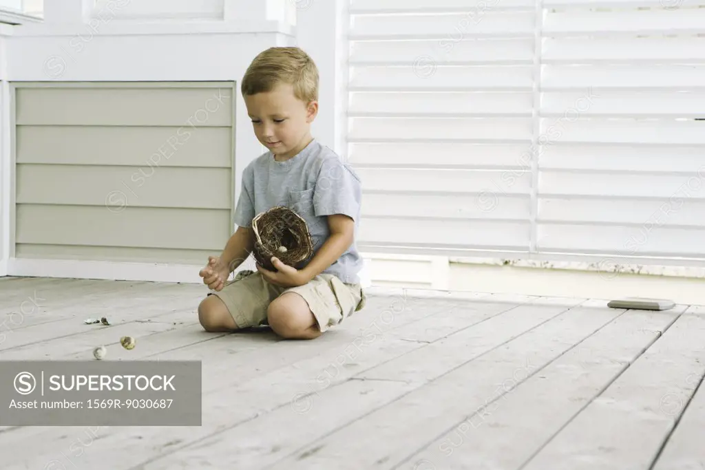 Boy kneeling on the ground, spilling eggs out of bird's nest