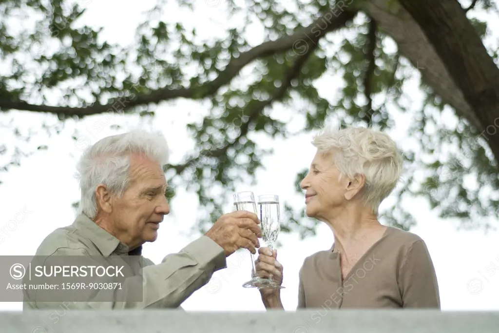 Senior couple making a toast with champagne outdoors