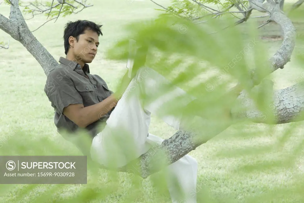 Man sitting on tree branch reading book, viewed through foliage