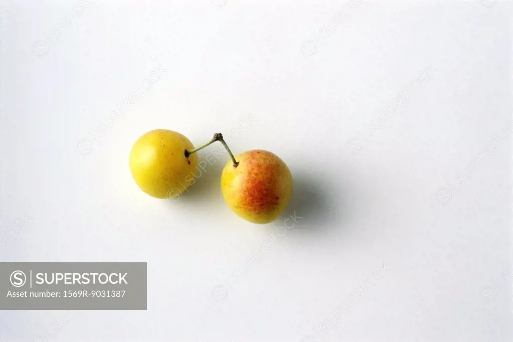 Two mirabelle plums, white background