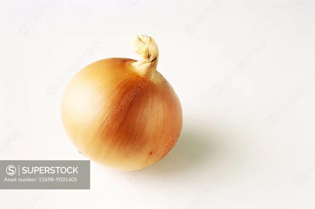 Onion, close-up
