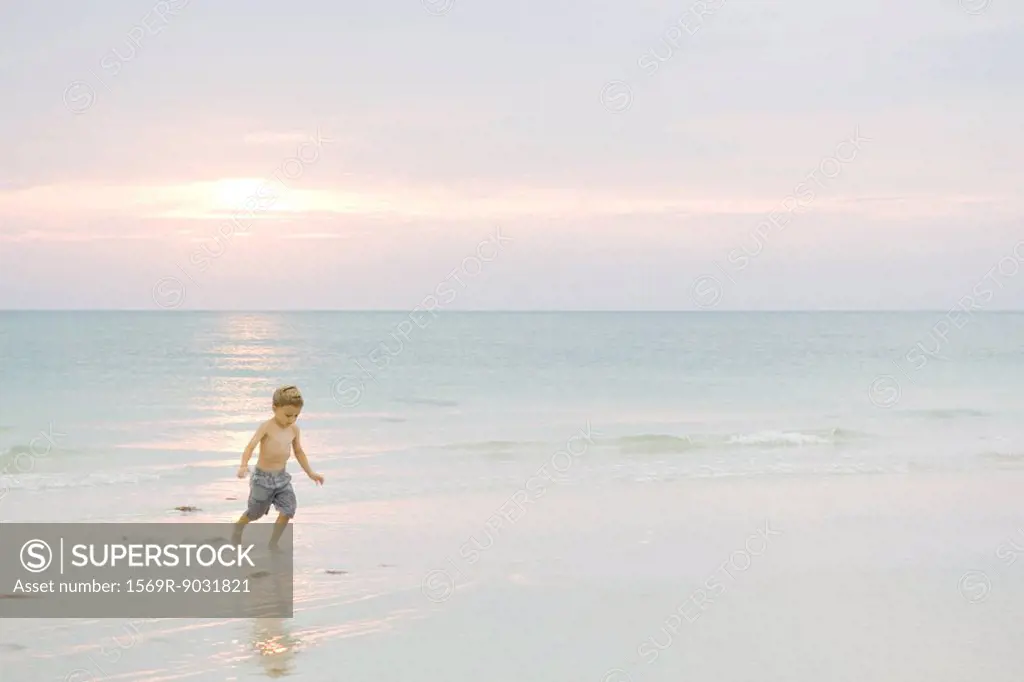 Little boy walking at the beach at sunset, looking down