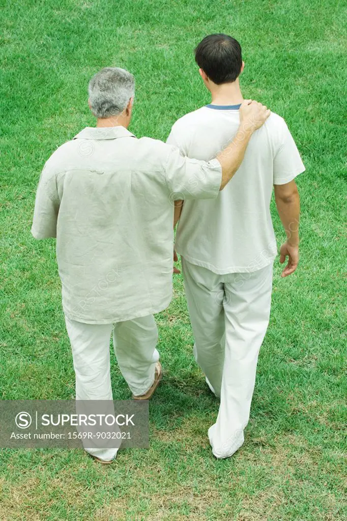 Father and adult son walking together outdoors, rear high angle view