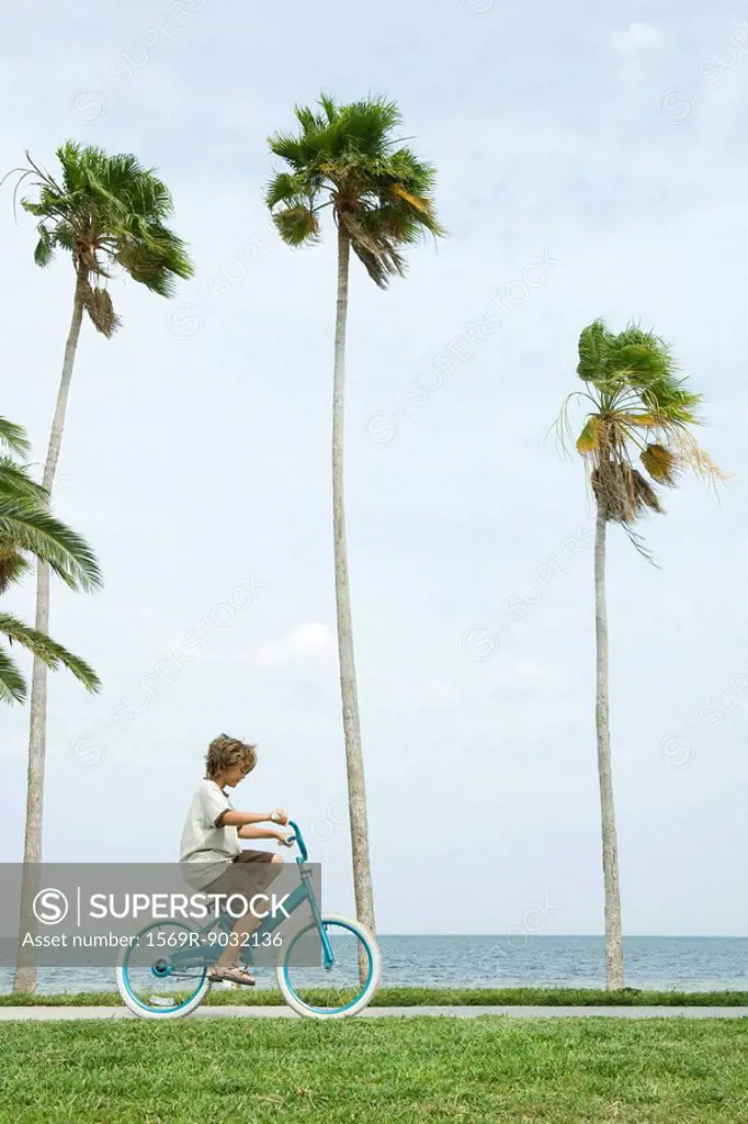Boy riding bicycle beside palm trees, side view