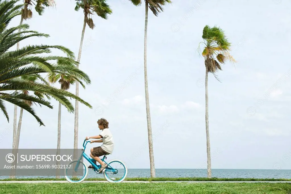 Boy riding bicycle beside palm trees, side view
