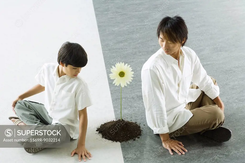 Boy and man sitting back to back, looking over shoulders at a single flower between them