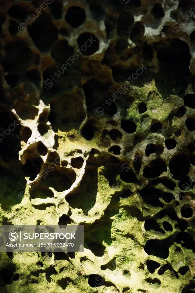 Porous rock, close-up, full frame