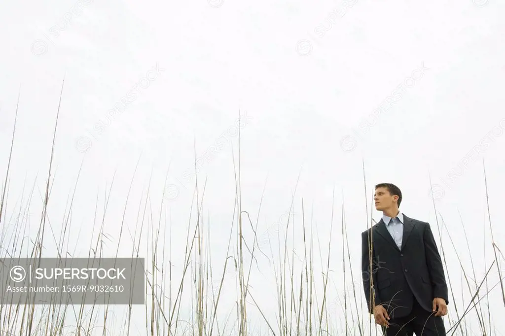 Businessman standing in tall grass, looking away