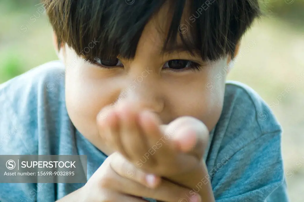 Little boy looking down at cupped hand, close-up