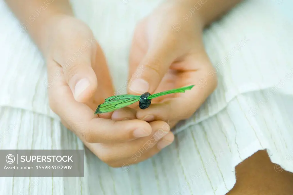 Little girl holding butterfly, cropped view of hands