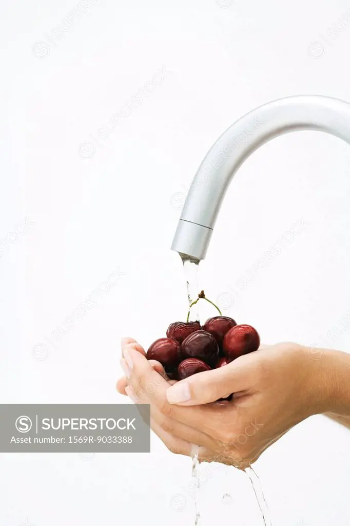 Woman rinsing handful of cherries under faucet, cropped view of hands