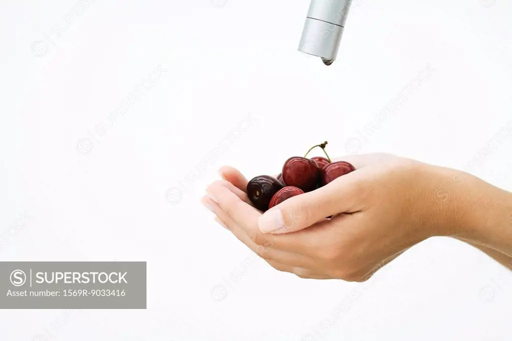 Woman holding handful of cherries under faucet, cropped view of hands