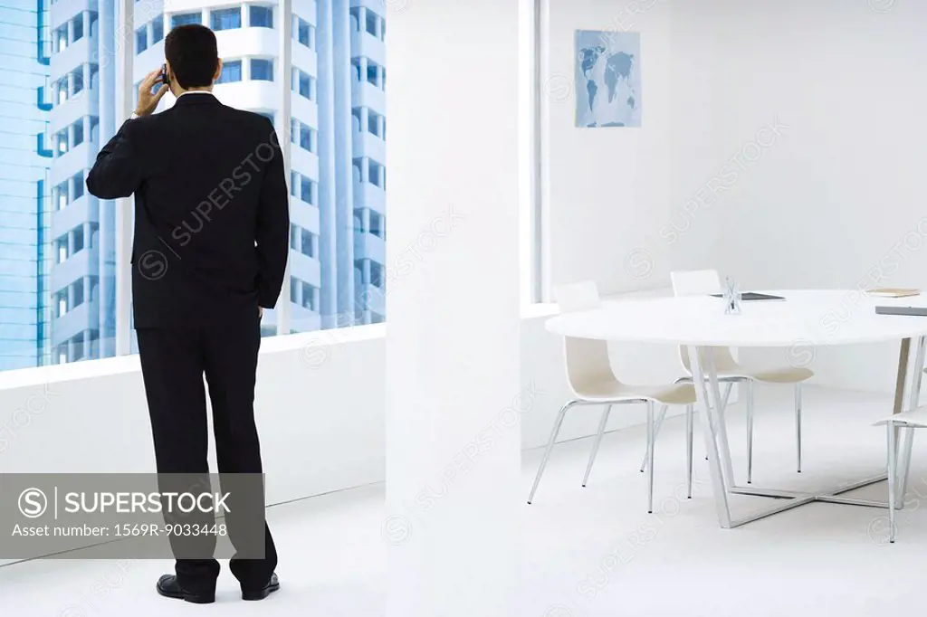 Businessman standing, looking out window, using cell phone