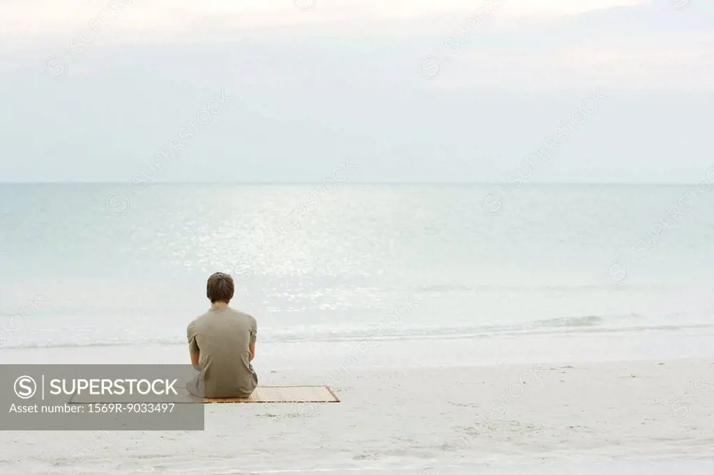 Teenage boy sitting at the beach, looking at the ocean, rear view