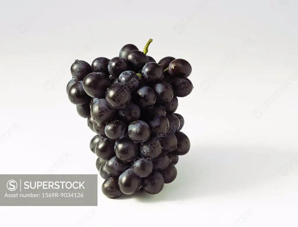 Black grapes, close-up