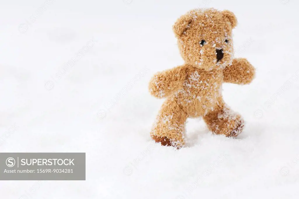 Teddy bear in snow
