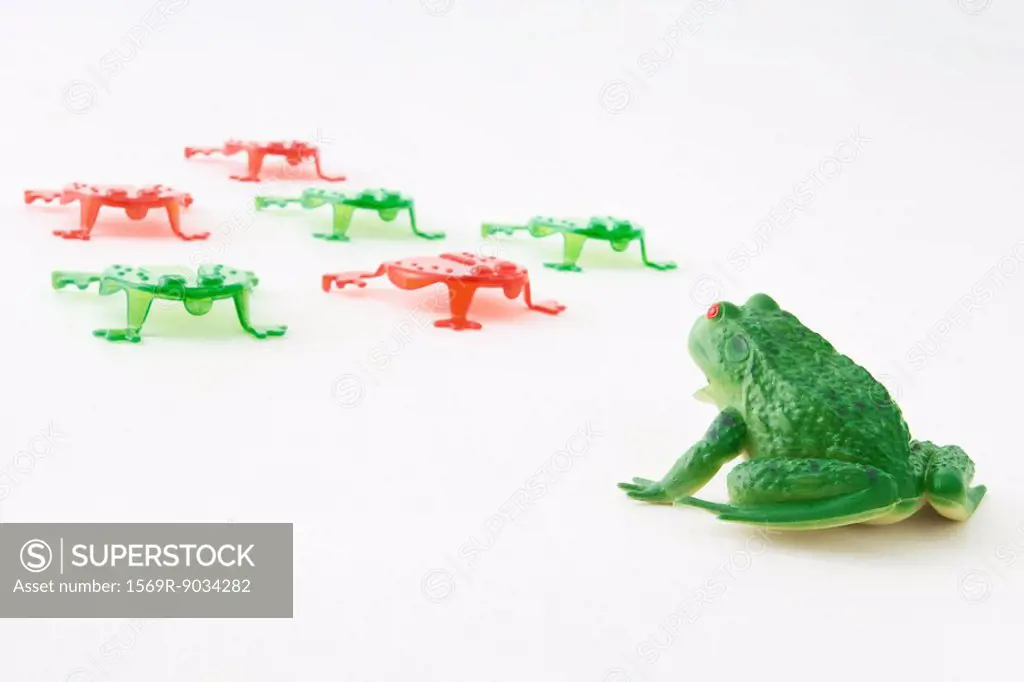 Plastic frog facing group of frog shaped game pieces