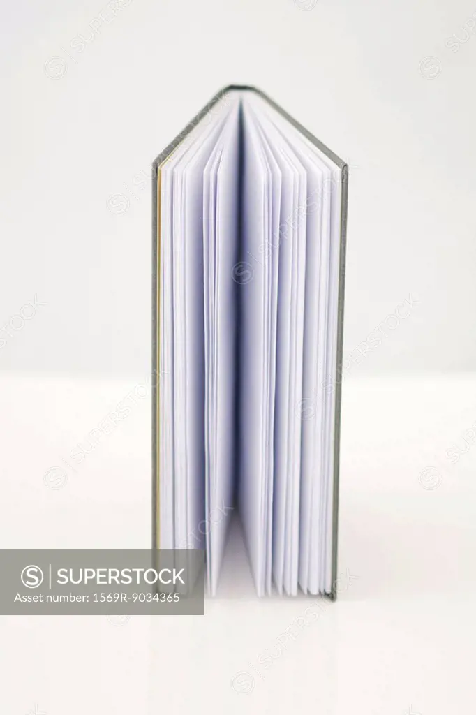 Book standing on end, half-opened, close-up