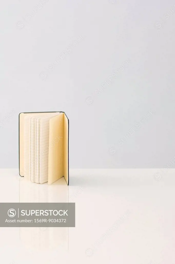 Open book with lined pages, standing on end